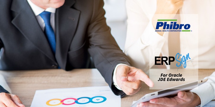 SOX Audit ERP Sign JDE 1